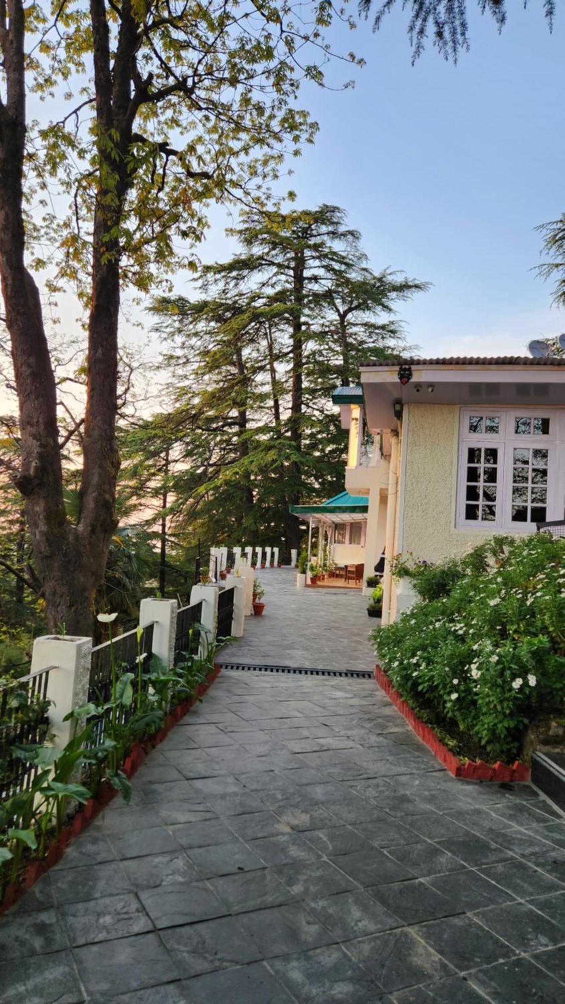 Glen View Heritage Homestay Шімла Екстер'єр фото